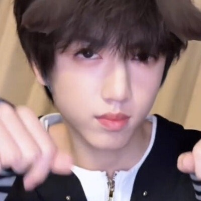 小狗哦