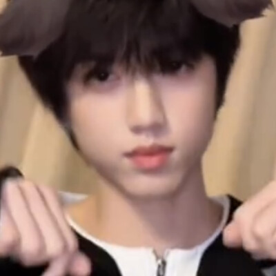 小狗哦