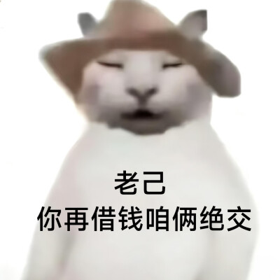 #爱你老己表情包#没建模没经济小猫#