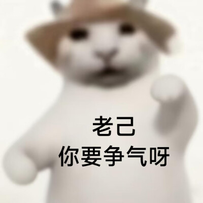 #爱你老己表情包#没建模没经济小猫#