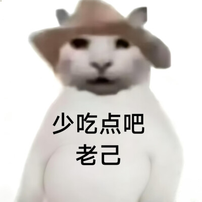 #爱你老己表情包#没建模没经济小猫#