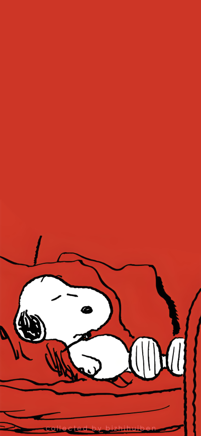 可爱的
图片来自网络，侵删