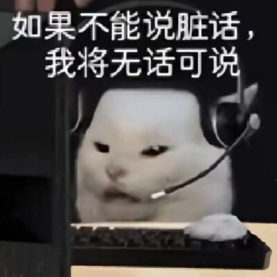 猫猫表情包
