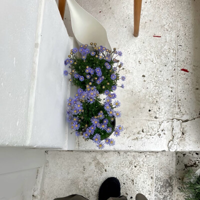 图源ks：偷喝汽水