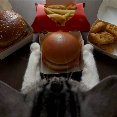 图源ks：偷喝汽水