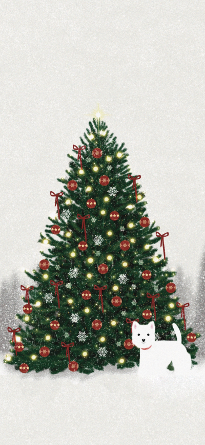 圣诞快乐
图片来自网络，侵删