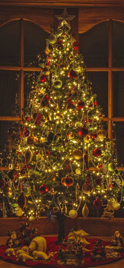 圣诞快乐
图片来自网络，侵删