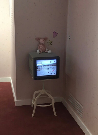 ෆ˃̶͈̑.˂̶͈̑ෆ