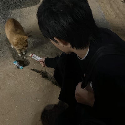 男生头像
人最后的顿悟就是什么都可以失去
