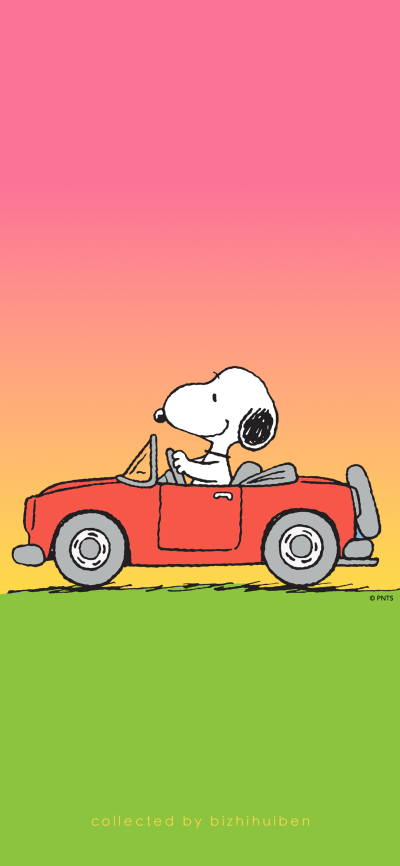 可爱的
图片来自网络，侵删