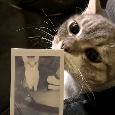 图源ks：偷喝汽水