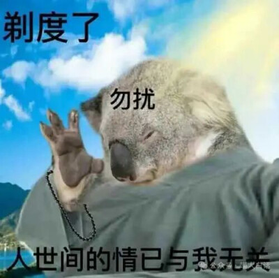 表情包