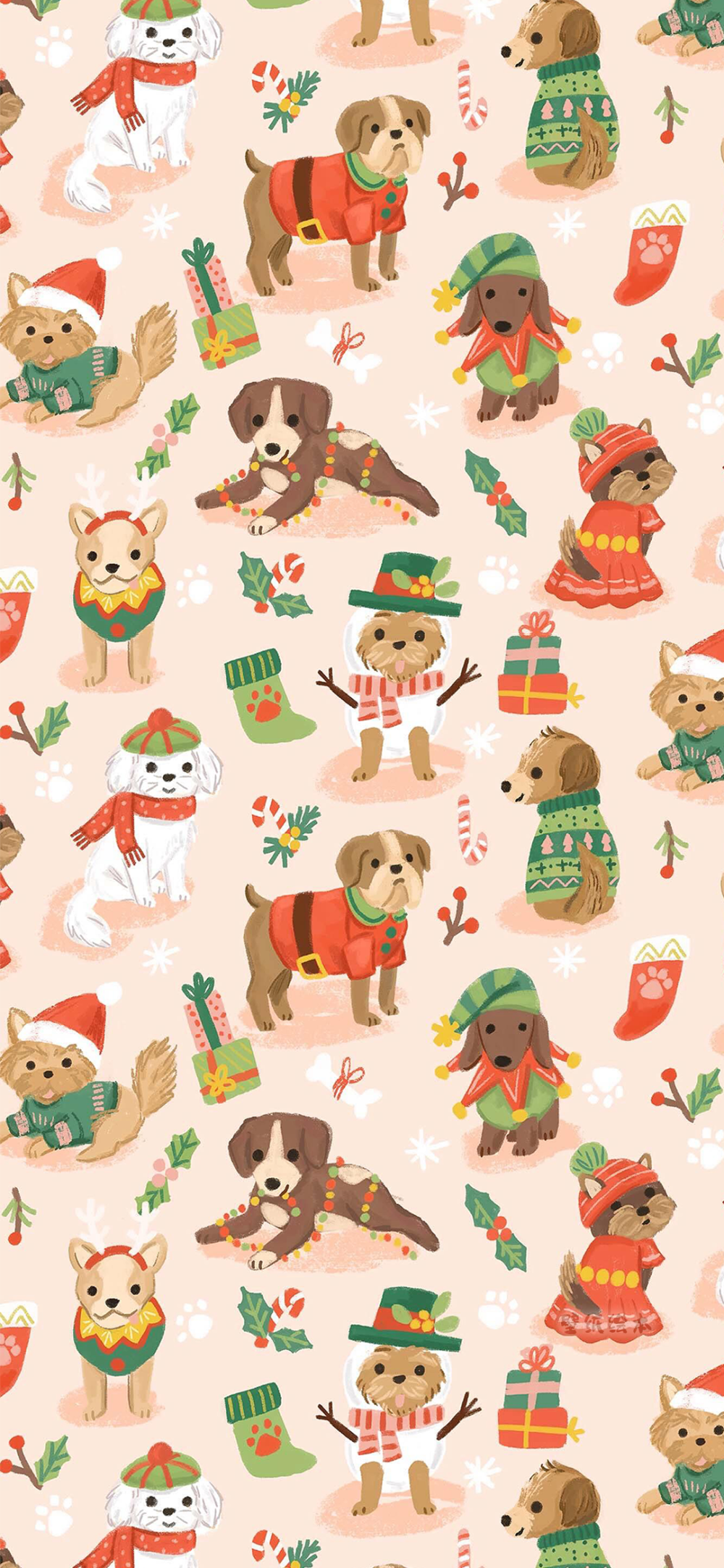 圣诞快乐
图片来自网络，侵删