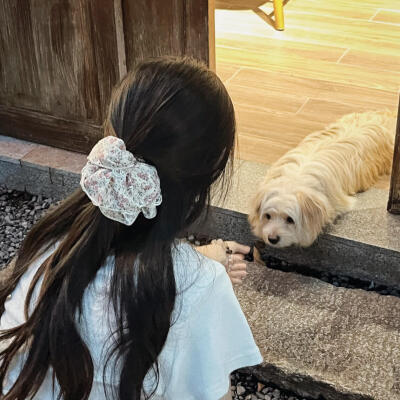 女生头像 背影 氛围感