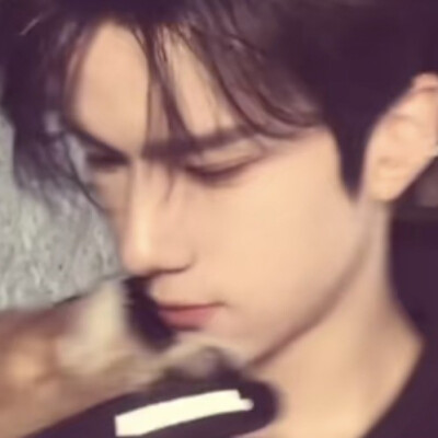 一大堆的所以然