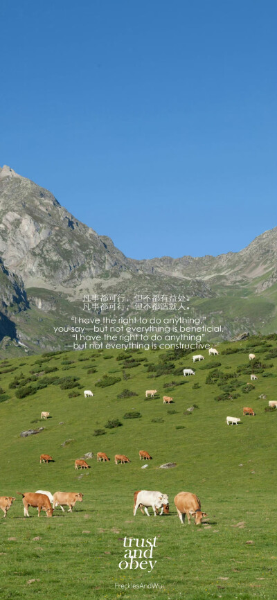 文字壁纸/
cr.@雀斑与吴