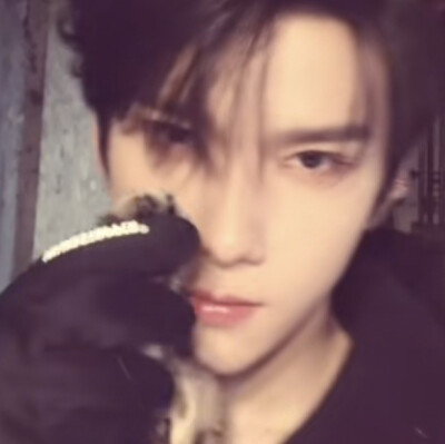 一大堆的所以然