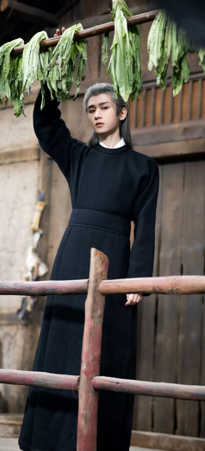 成毅《长安二十四计》谢淮安