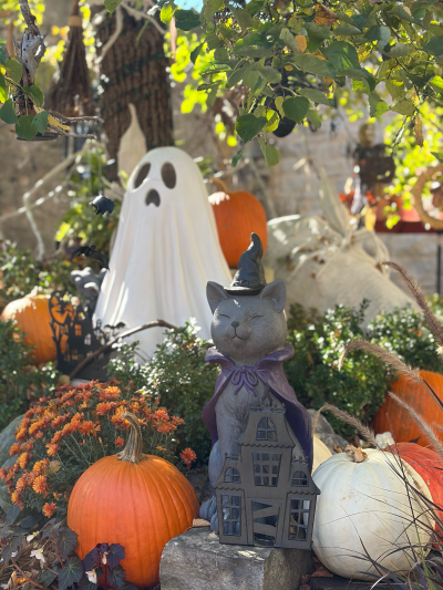 2025万圣节多伦多