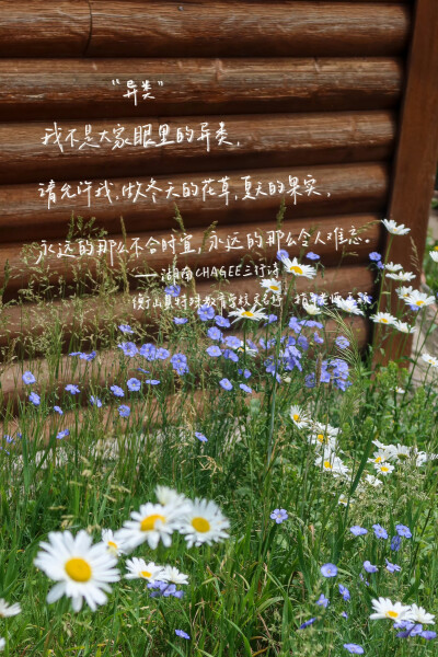 朋友圈背景图
cr.@半颗荔枝i