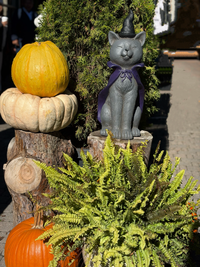 2025万圣节多伦多