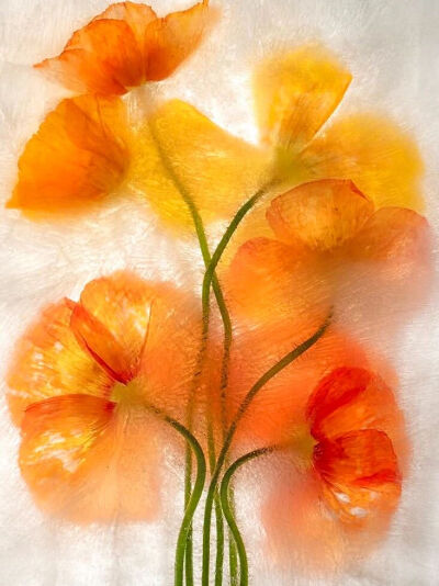 摄影艺术家Ryuijie专注于风景和水下摄影三十余年。1950年，Ryuijie（柳介）出生在日本小樽（Otaru）。年幼时，他和家人一起搬到了美国，之后又在许多地方居住过，从夏威夷到新罕布什尔，后来又回到日本。在关岛期间…