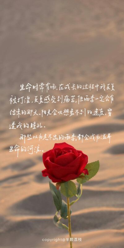 文字壁纸/
cr.@半颗荔枝i