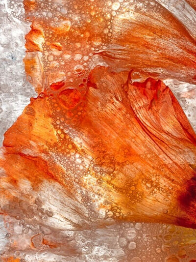 摄影艺术家Ryuijie专注于风景和水下摄影三十余年。1950年，Ryuijie（柳介）出生在日本小樽（Otaru）。年幼时，他和家人一起搬到了美国，之后又在许多地方居住过，从夏威夷到新罕布什尔，后来又回到日本。在关岛期间…