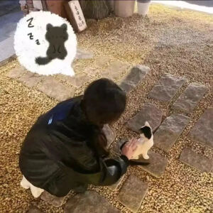 情头