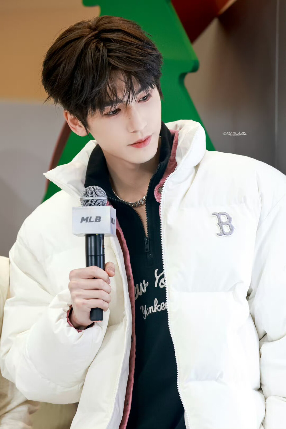 cr.WildBluebell·张凌赫