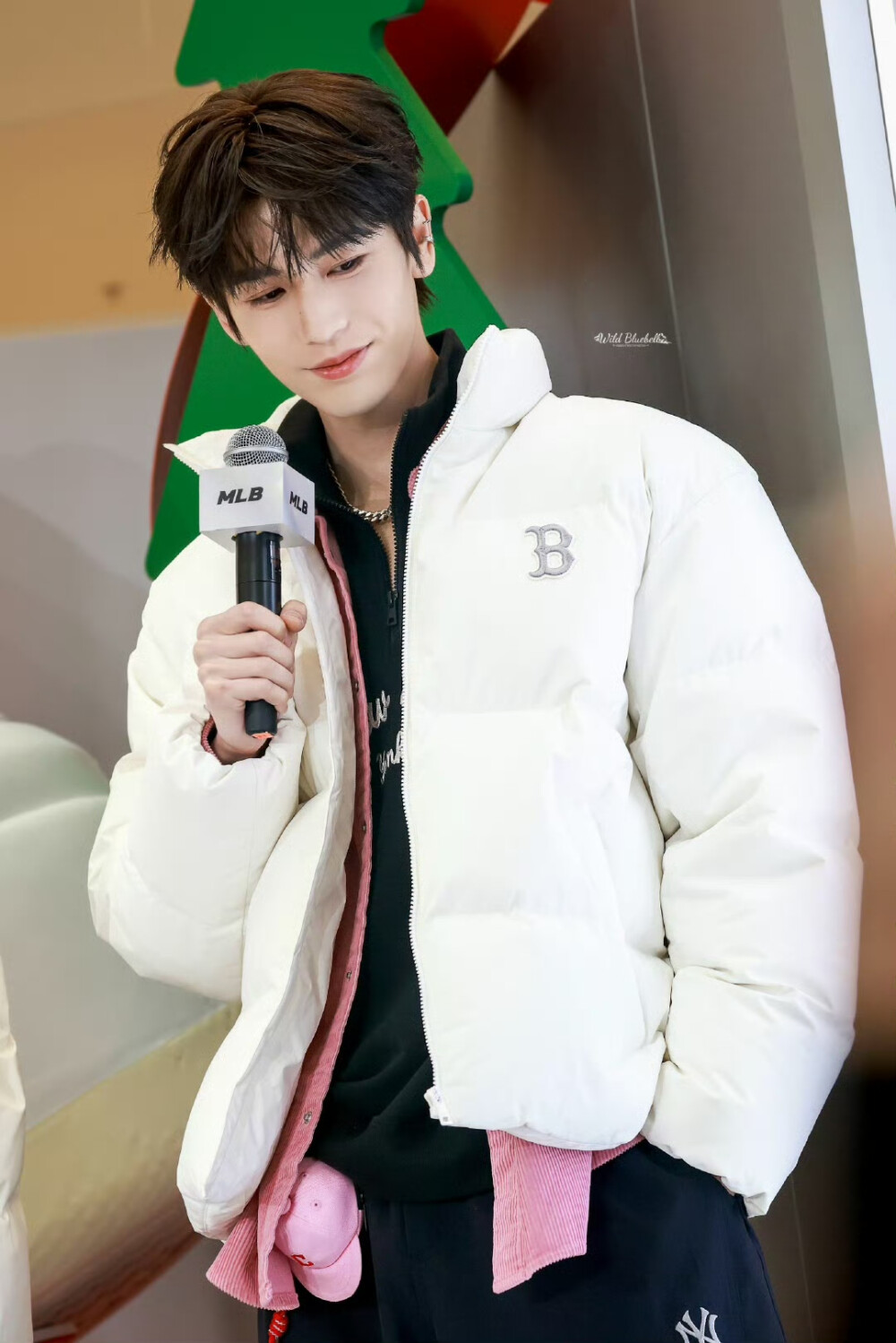 cr.WildBluebell·张凌赫