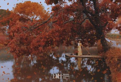 「上城士途中风物045 | 马思纯」
黄山的美，流动变幻 