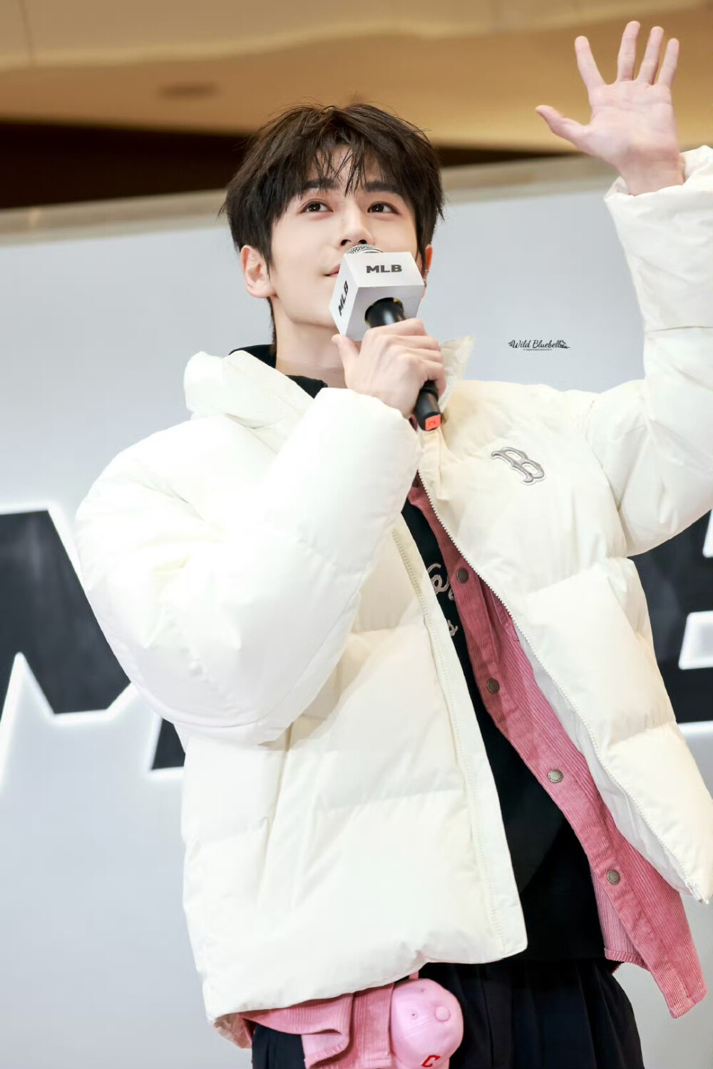 cr.WildBluebell·张凌赫