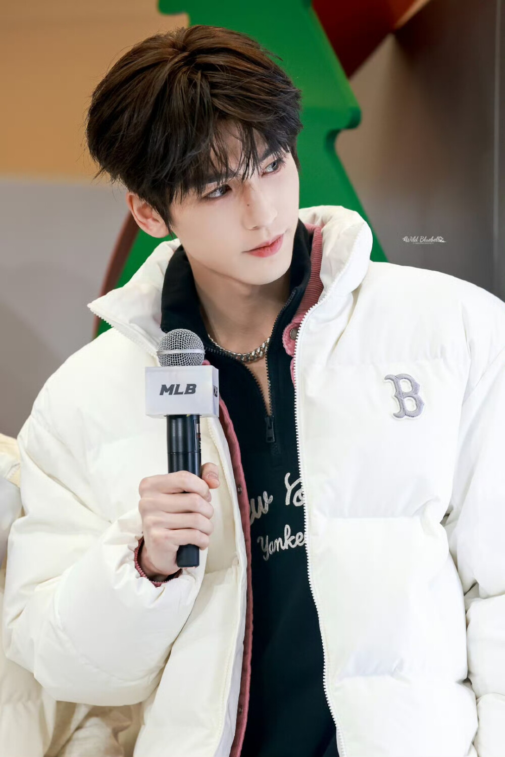 cr.WildBluebell·张凌赫