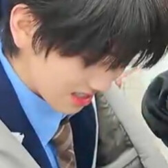 爱的最高境界是心疼