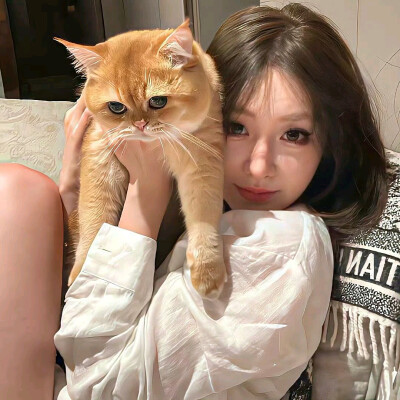 头像·图源微博