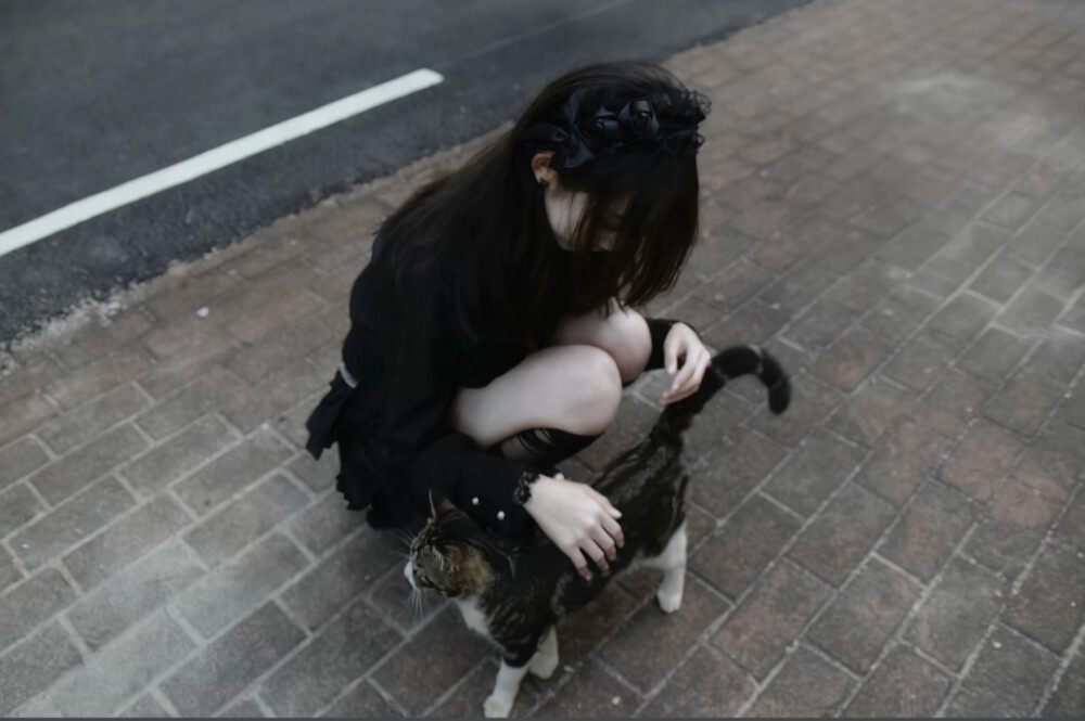 你和猫一样可爱