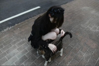 你和猫一样可爱