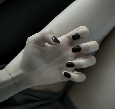 你和猫一样可爱