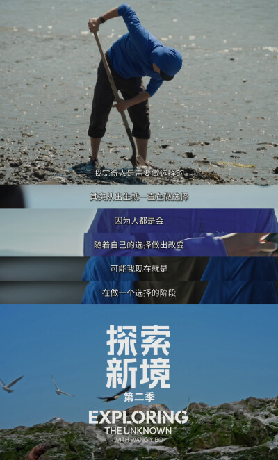 YIBO-OFFICIAL：
#有一种速度叫王一博速度#
生活从不是被动的抵达，而是主动的选择。每一段路程，都是内心热爱的延伸。@UNIQ-王一博
腾讯视频#探索新境# 第二季正在播出。#王一博睡树上第一视角# ​​​