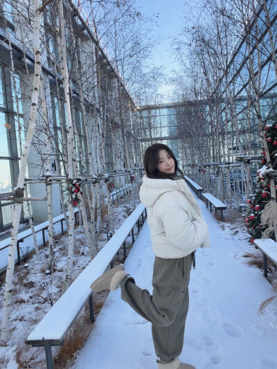 好萌一只萨摩耶