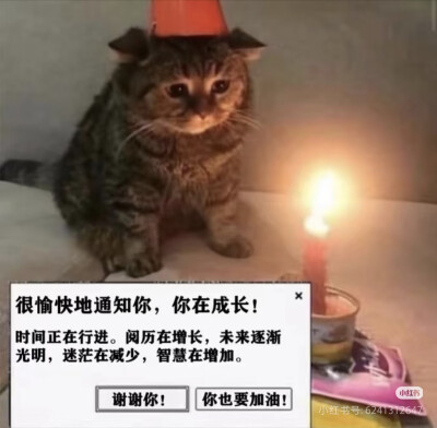 猫猫拯救世界