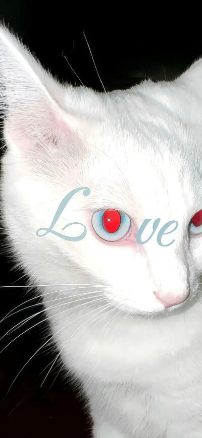 好看的壁纸分享