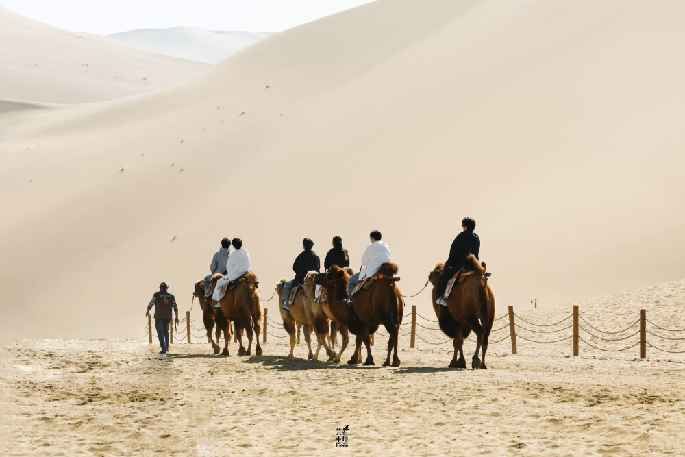 跳进地理书的旅行