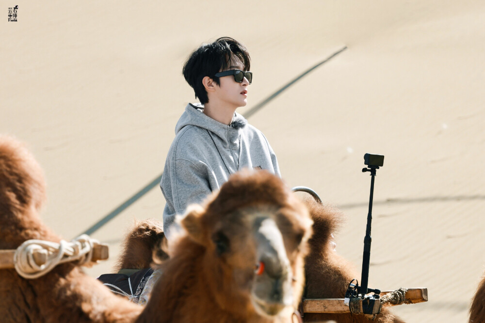 跳进地理书的旅行