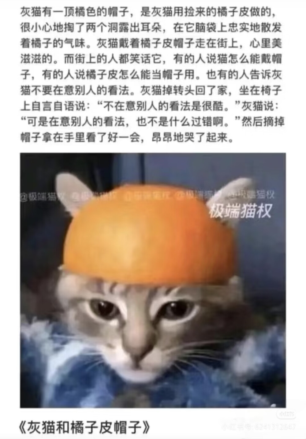 猫猫拯救世界
