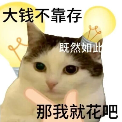 猫猫表情包