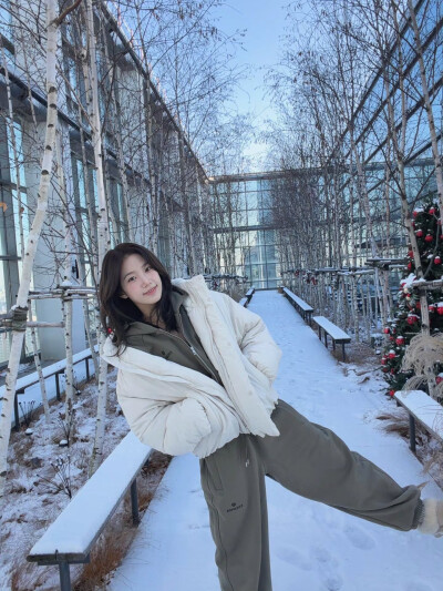 好萌一只萨摩耶