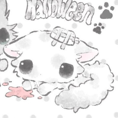 在喜欢的节奏里循环生活^₌>ᴗ<₌^