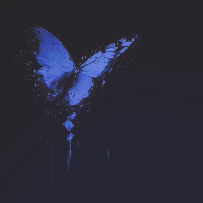 整个爱尔兰都在下雪